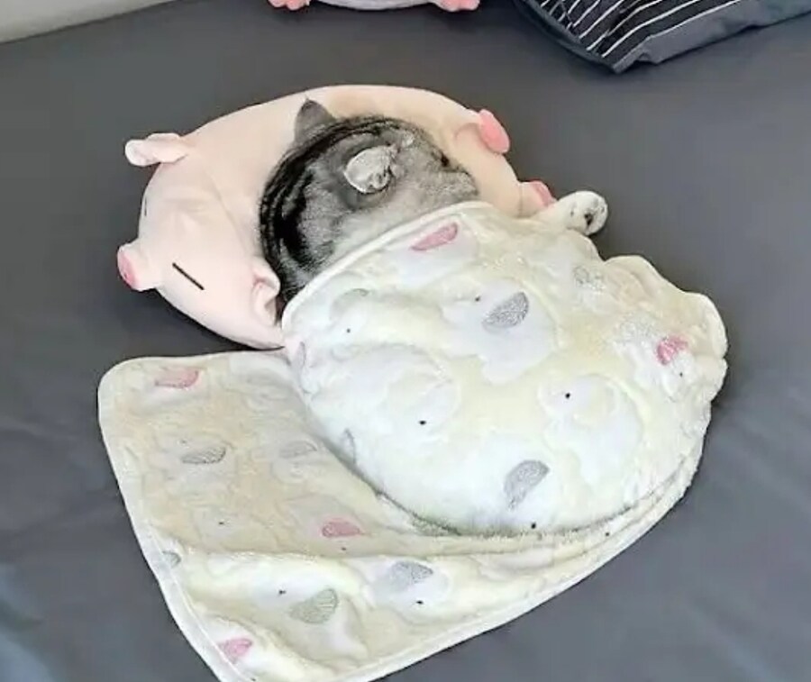 부모님 사드릴 보급형 삼성폰 추천좀 부탁드립니다_1.jpg