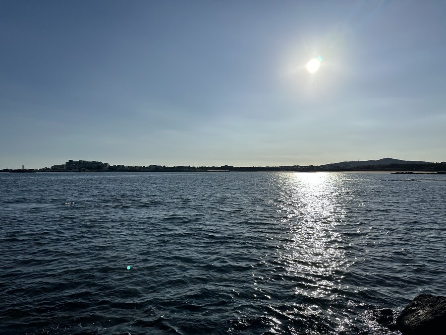 제주도 집밥 모음 외_4.jpg