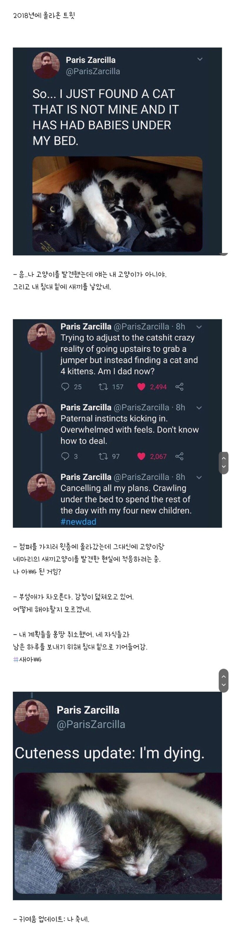 우울증 환자 집에 고양이 가족이 무단침입_1.jpg