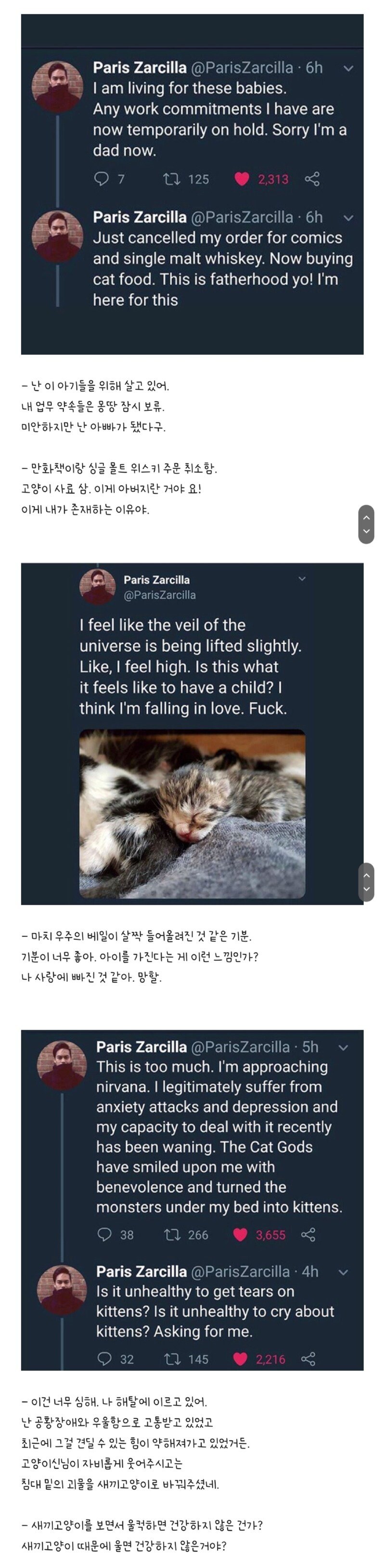 우울증 환자 집에 고양이 가족이 무단침입_2.jpg