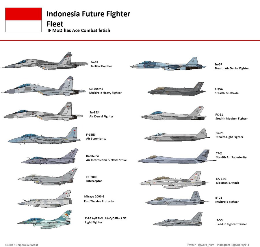 와 인도네시아 공군 이거 대체 뭐임?_1.jpg