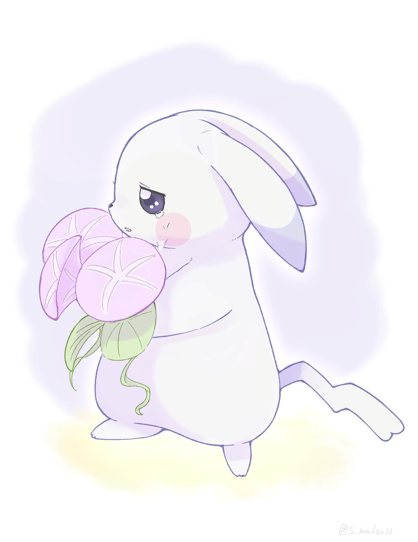 처연한 미망인 푸키먼_2.jpg