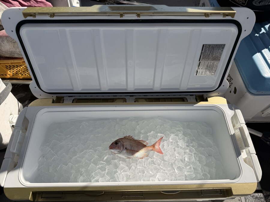 대어 한마리로 만족한 낚시꾼_2.jpg