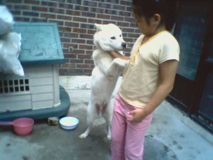 "주, 주인이시여! 한번만 더 기회를!"_1.jpg