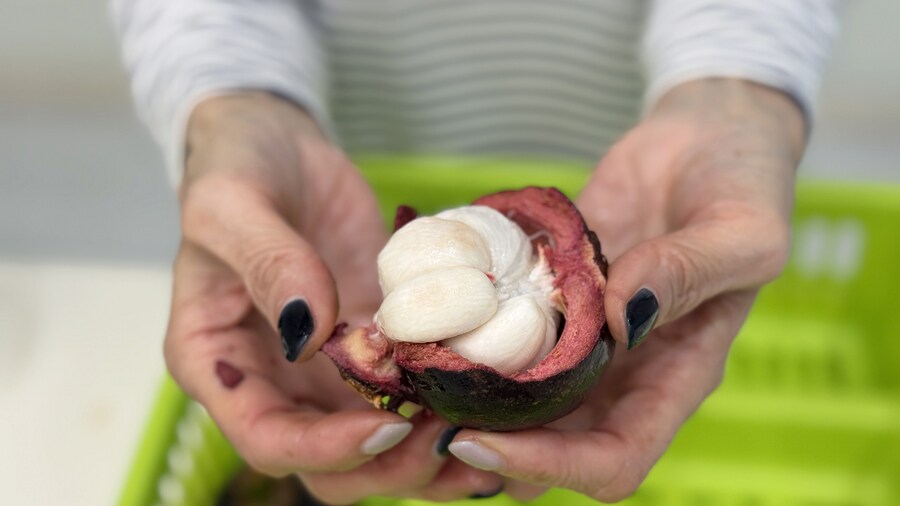 밖에서 밥 먹습니다 - 코타키나발루, Boya Imago_14.jpg