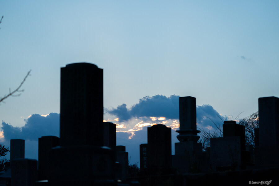 일본 북해도 4박5일 여행기 (스압주의)_47.jpg