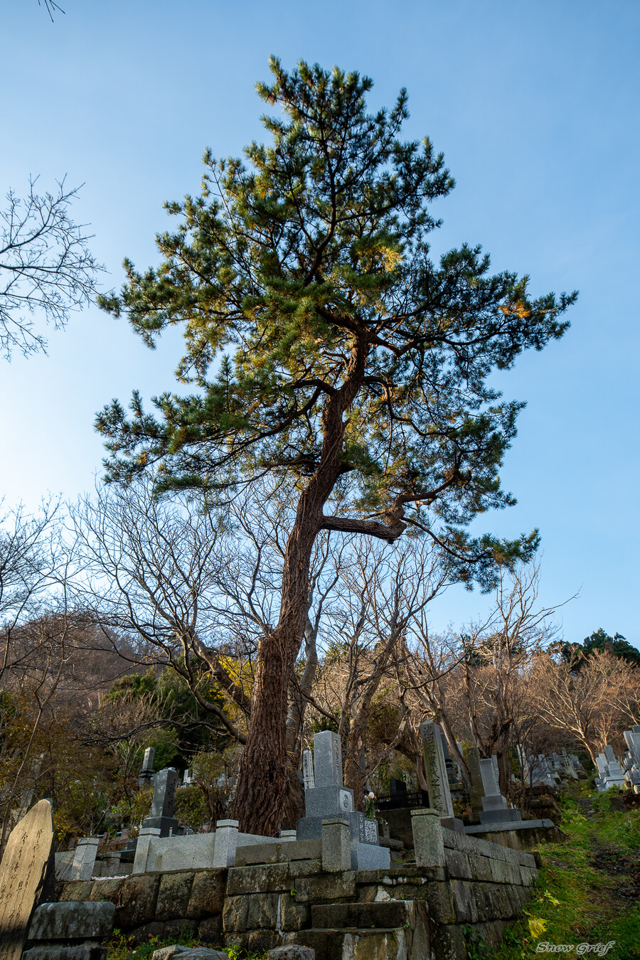 일본 북해도 4박5일 여행기 (스압주의)_88.jpg