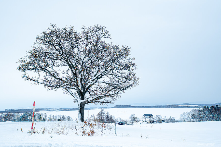 일본 북해도 4박5일 여행기 (스압주의)_201.jpg
