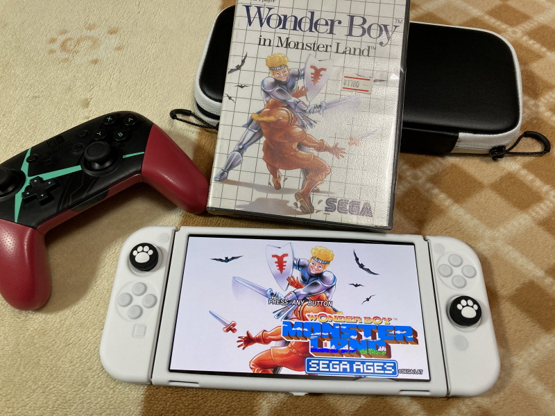 스위치(NS) 게임 100개 & 파판과 이스 ~_154.jpg