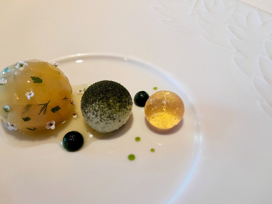 더 가기 힘들어지기전에 라망시크레 by 손종원_12.jpg