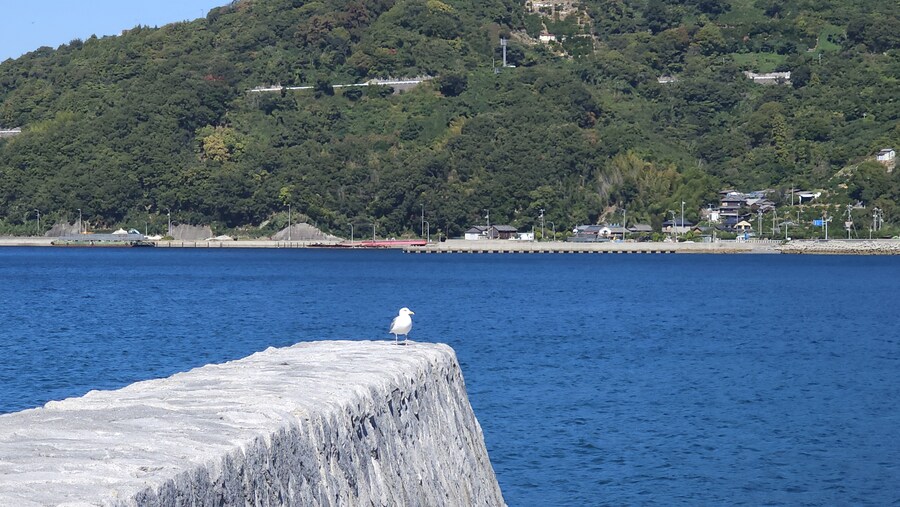 만성소화불량자의 8박9일 히로시마 여행 6,7일차 (쿠레, 미타라이)_100.jpg