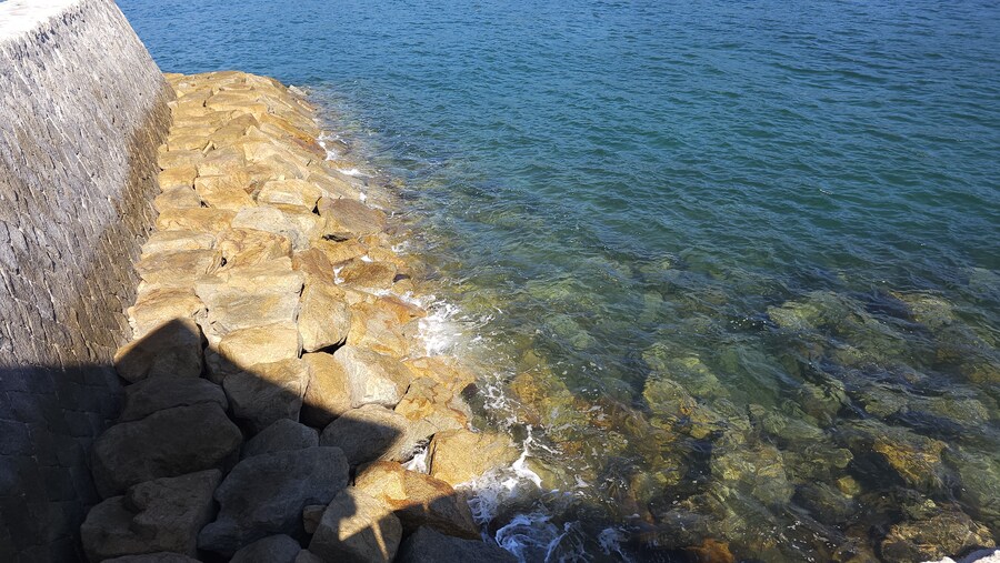 만성소화불량자의 8박9일 히로시마 여행 6,7일차 (쿠레, 미타라이)_101.jpg