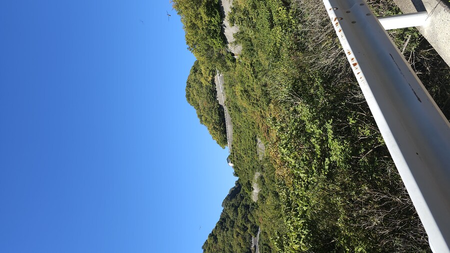 만성소화불량자의 8박9일 히로시마 여행 6,7일차 (쿠레, 미타라이)_117.jpg