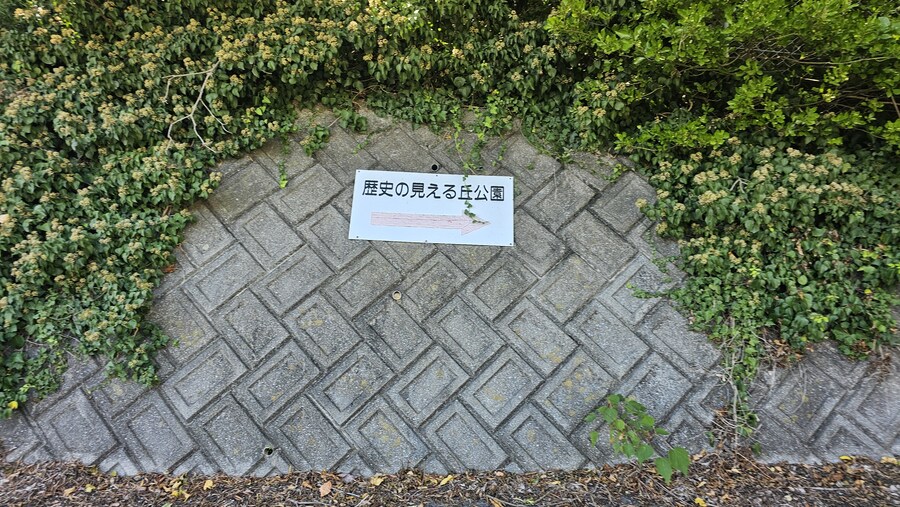 만성소화불량자의 8박9일 히로시마 여행 6,7일차 (쿠레, 미타라이)_129.jpg