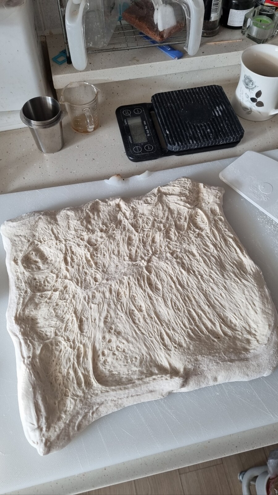 시오빵,감바스,바게트그리고 고구마_16.jpg