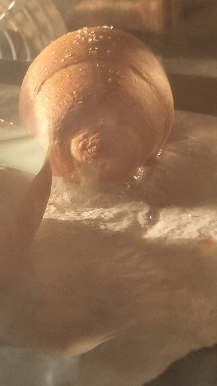 시오빵,감바스,바게트그리고 고구마_10.jpg