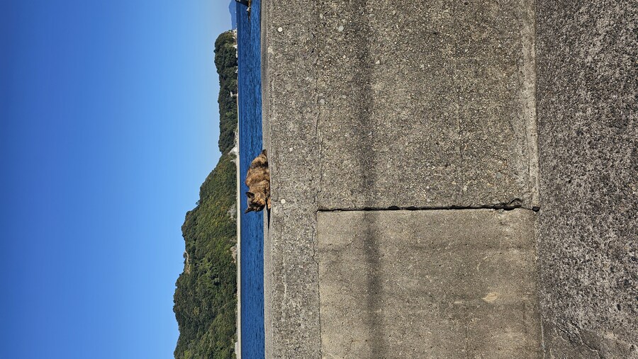 만성소화불량자의 8박9일 히로시마 여행 6,7일차 (쿠레, 미타라이)_192.jpg