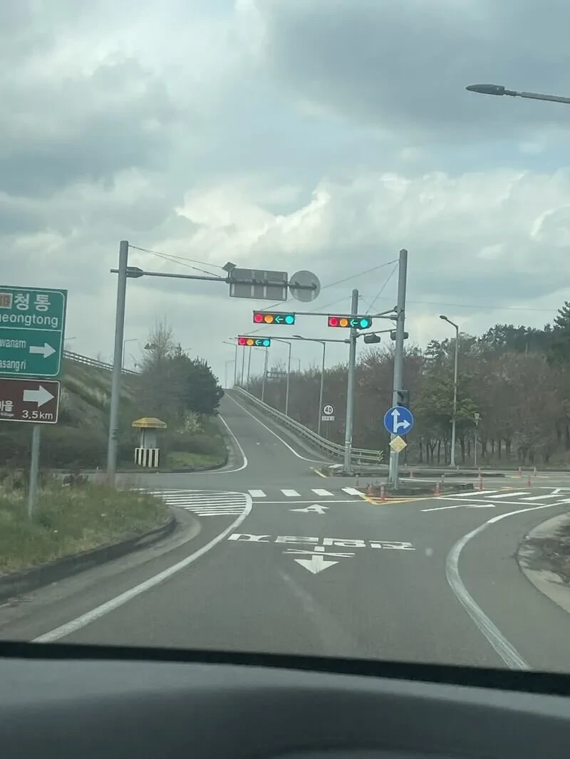 신호등도 볼 줄 모르면 운전대 잡지마.jpg_1.webp