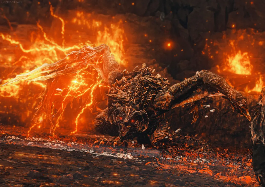 엘든링) 얘 행동을 공격이 아니라 애교라고 생각해봐_2.webp