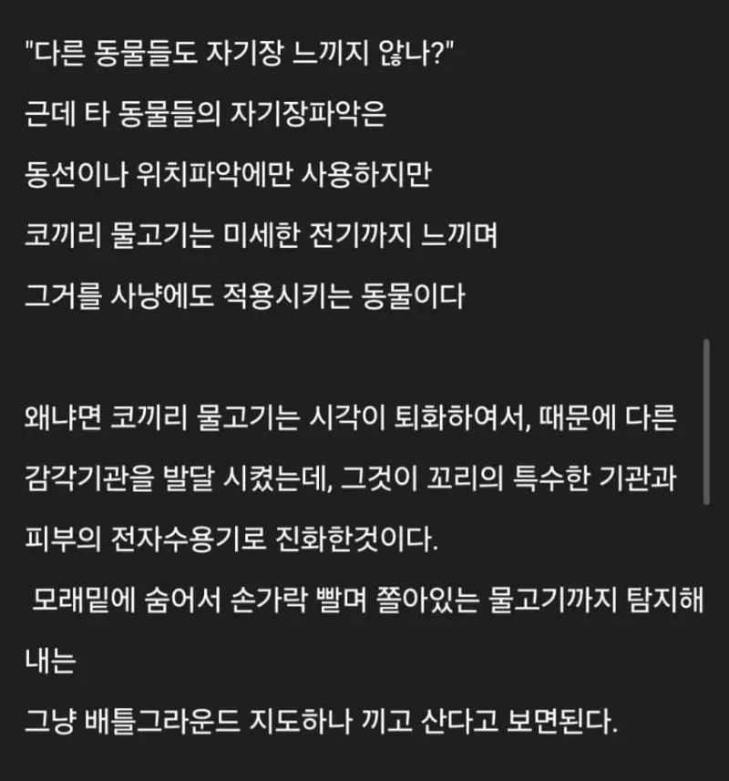 세계에 존재하는 신기한 생물들_8.webp