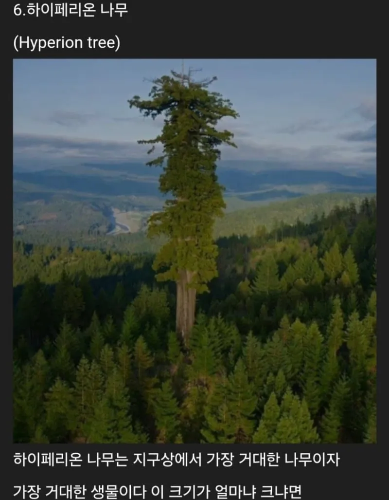 세계에 존재하는 신기한 생물들_9.webp