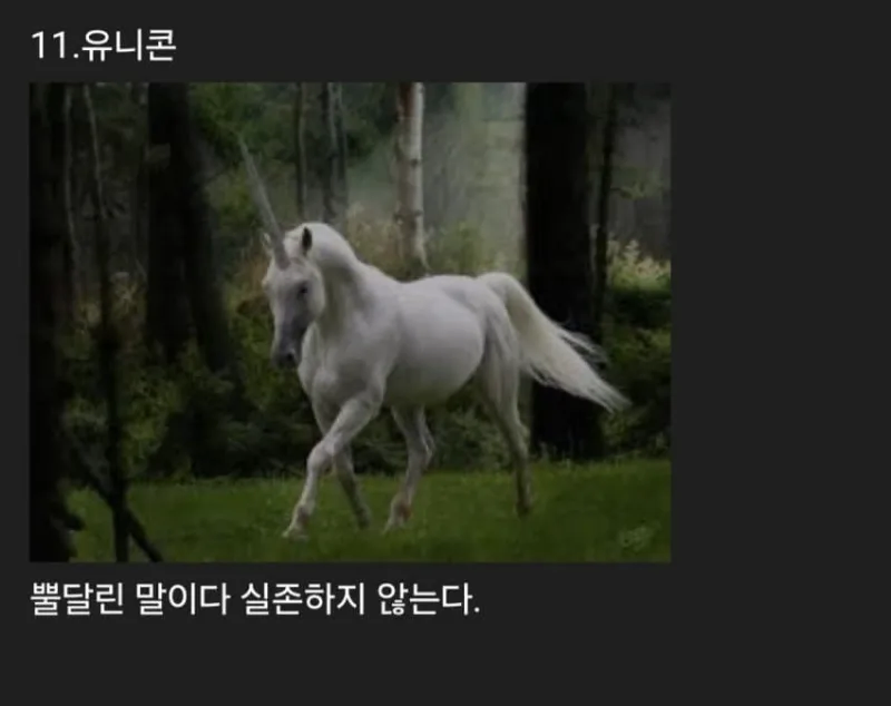 세계에 존재하는 신기한 생물들_18.webp