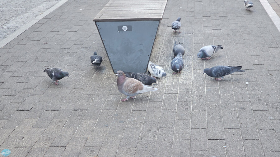 을씨년스러운 대구 동성로 탐방.._24.jpg