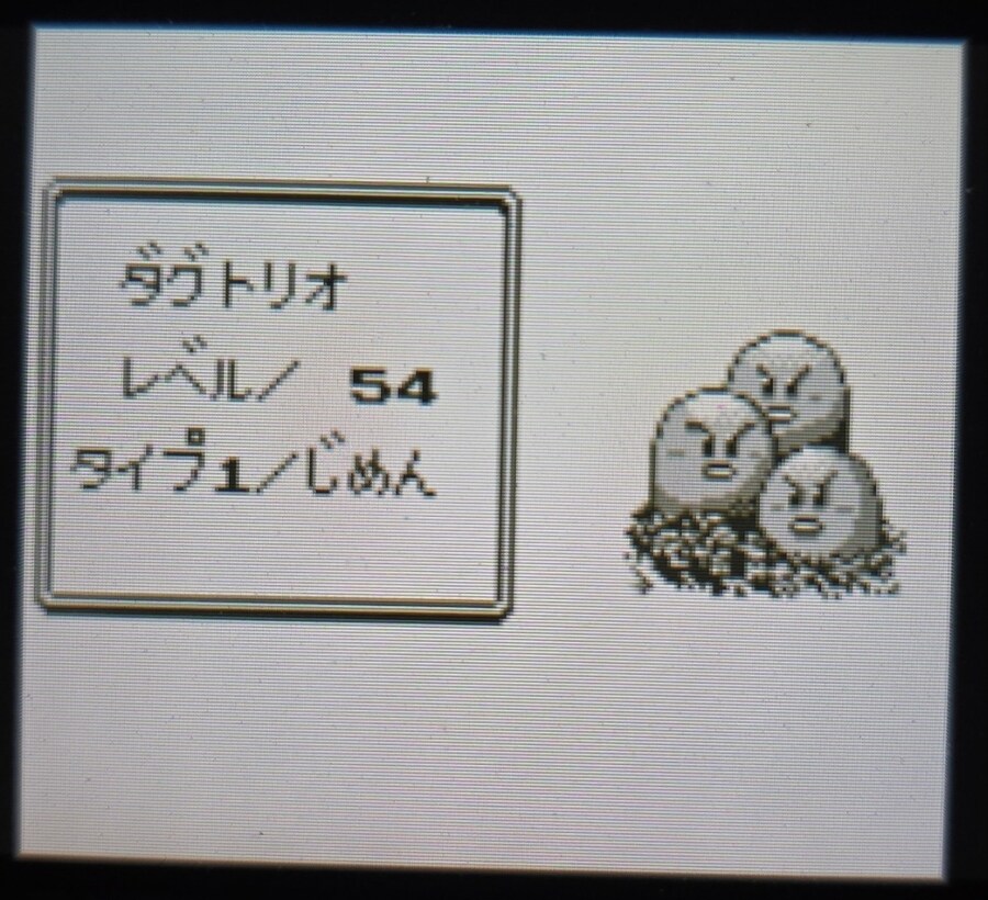 VC 포켓몬 그린 클리어 멤버_4.jpg