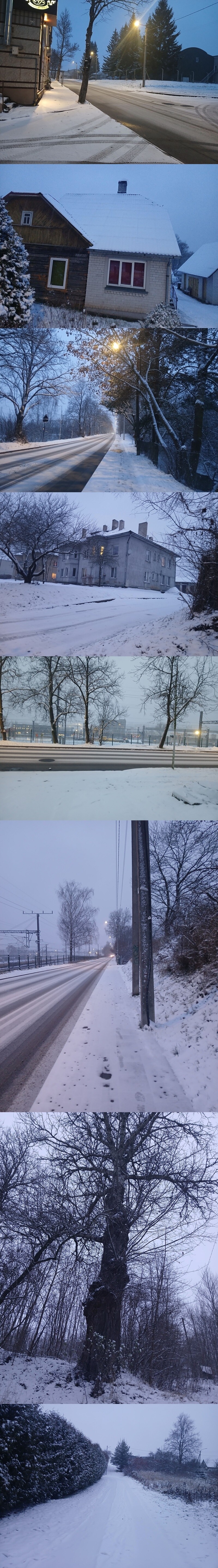 봇치의 리투아니아 여행 9화_1.jpg