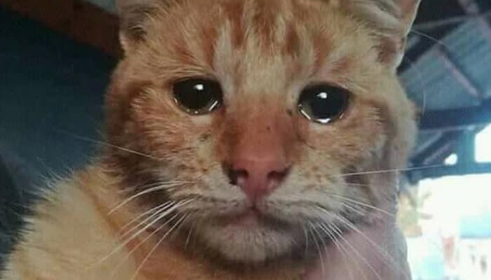 쉬팔 ㅋㅋㅋㅋㅋㅋㅋㅋㅋㅋㅋㅋㅋㅋㅋㅋㅋㅋㅋㅋ_2.jpg