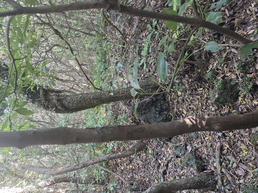 제주도 3박 4일 패키지 여행 다녀왔습니다._14.jpg