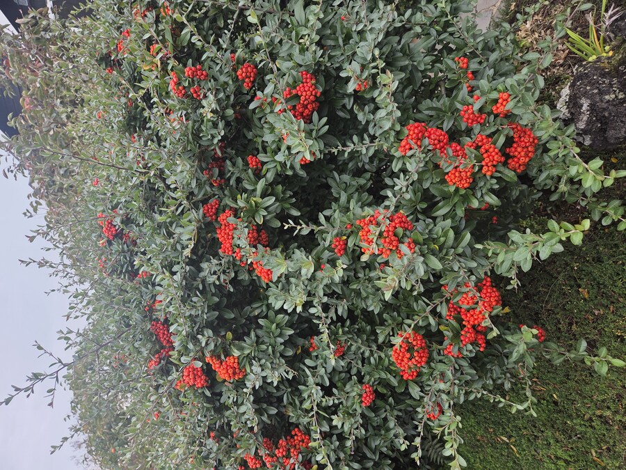 제주도 3박 4일 패키지 여행 다녀왔습니다._22.jpg