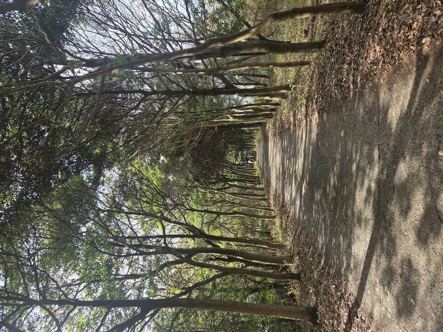 제주도 3박 4일 패키지 여행 다녀왔습니다._43.jpg