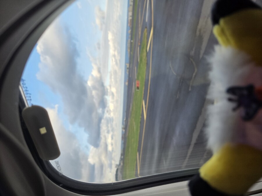 제주도 3박 4일 패키지 여행 다녀왔습니다._63.jpg