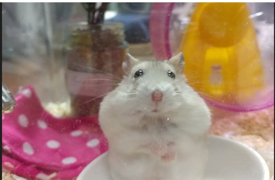 1년 동안 존버했던 계획을 실행할 날이 찾아옴_6.png