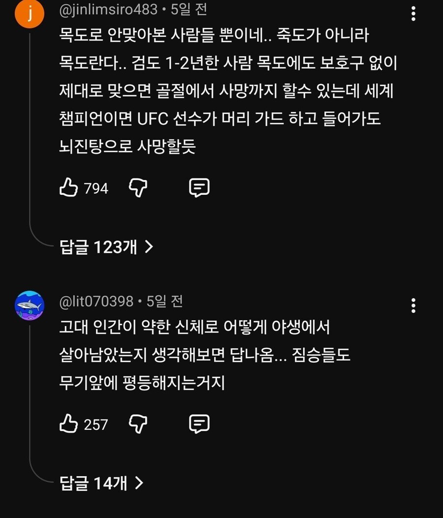 댓글 1000개 넘게 달리며 논란중인 검도 vs MMA.jpg_7.png