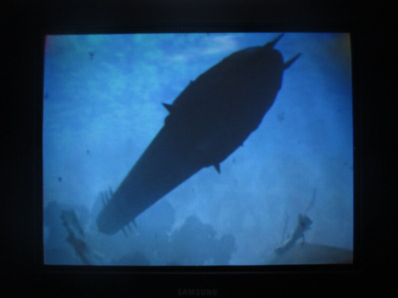 청의 6호 안타티카 (4)_13.jpg