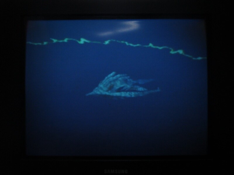 청의 6호 안타티카 (4)_19.jpg