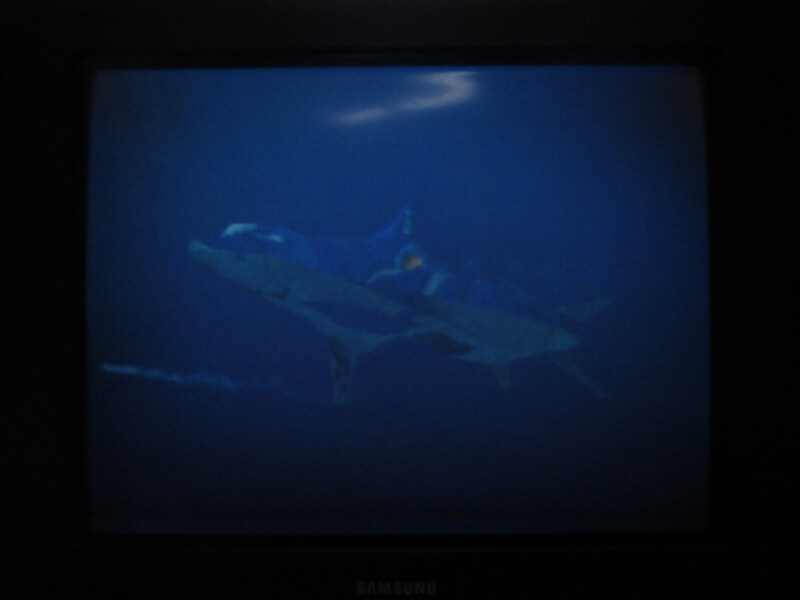 청의 6호 안타티카 (4)_26.jpg