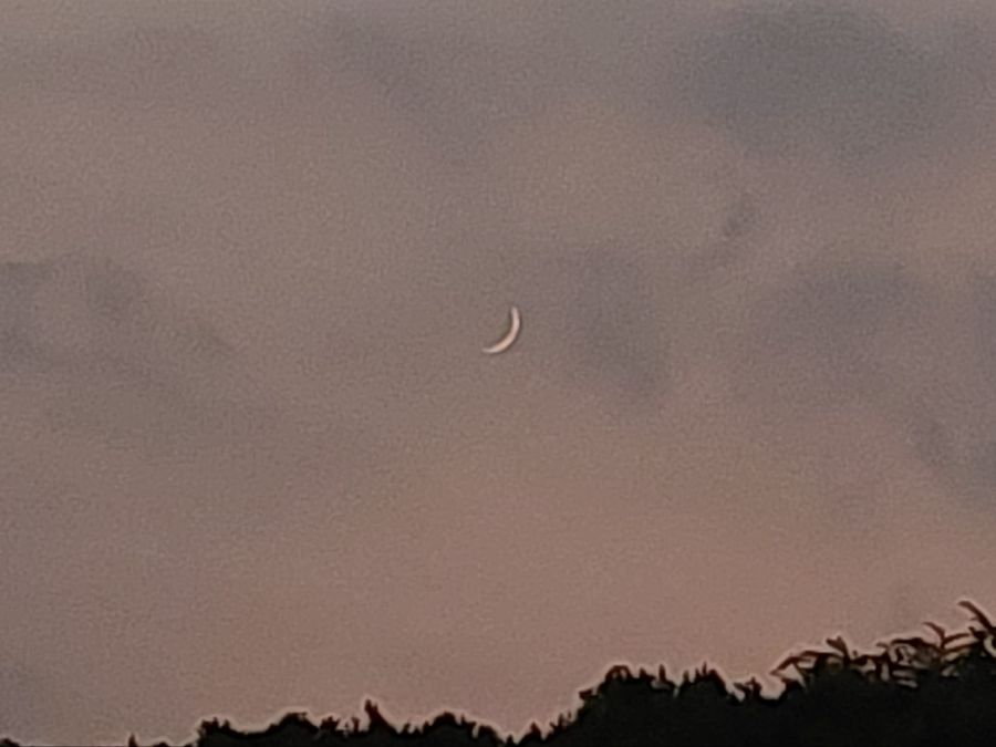 성심당 돈까스 냠냠_10.jpg