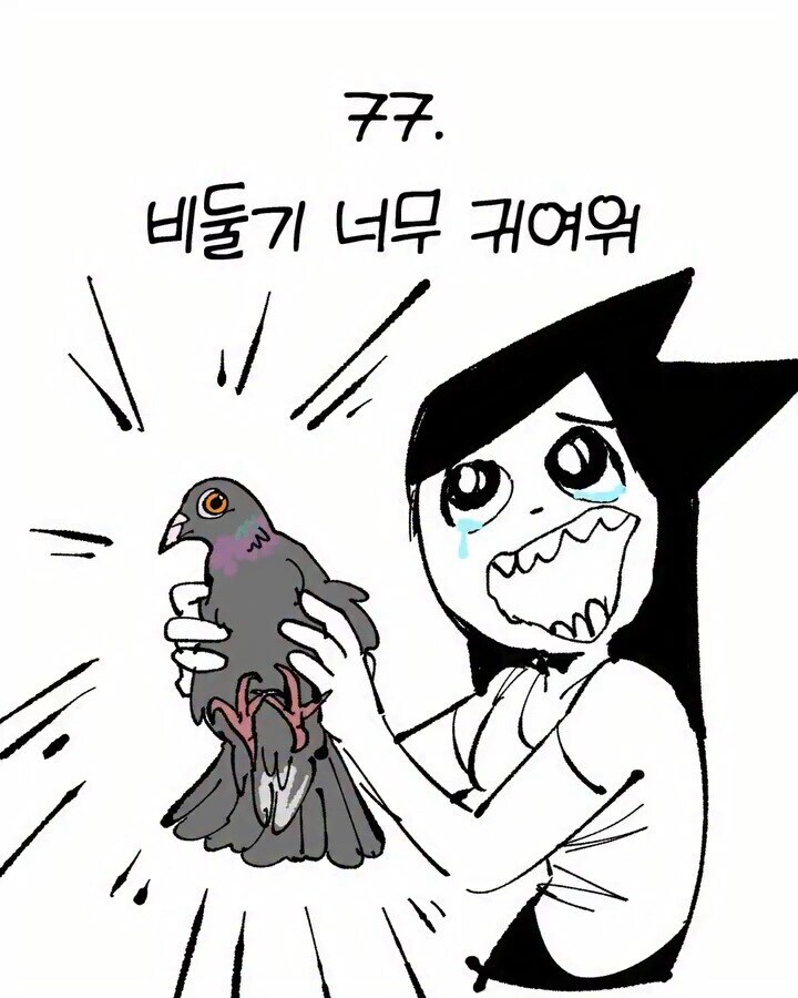 비둘기가 귀여운 만화_1.jpg