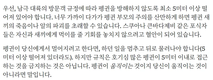 남극의 침략자 펭귄 논란_1.webp