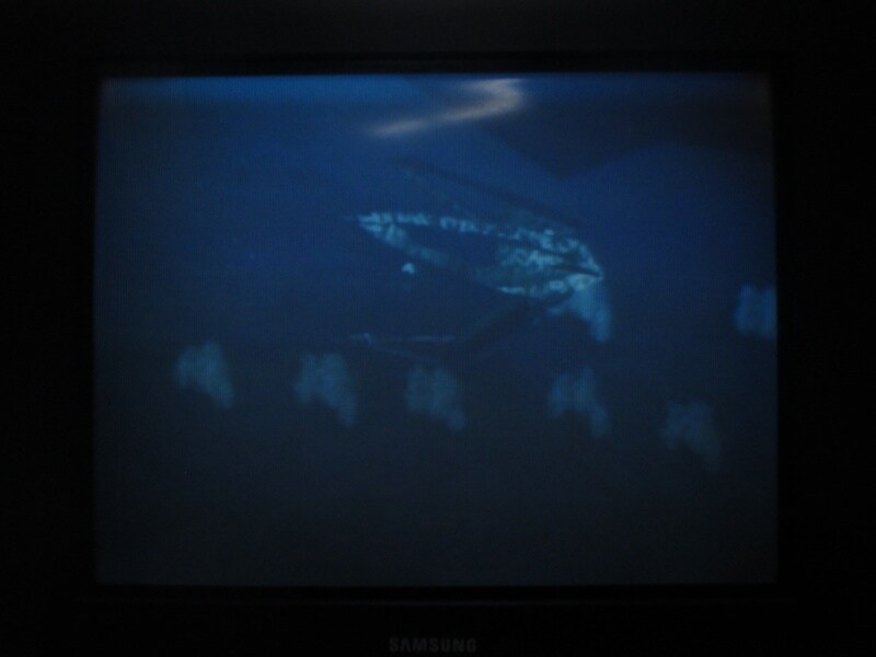 청의 6호 안타티카 (5)_22.jpg