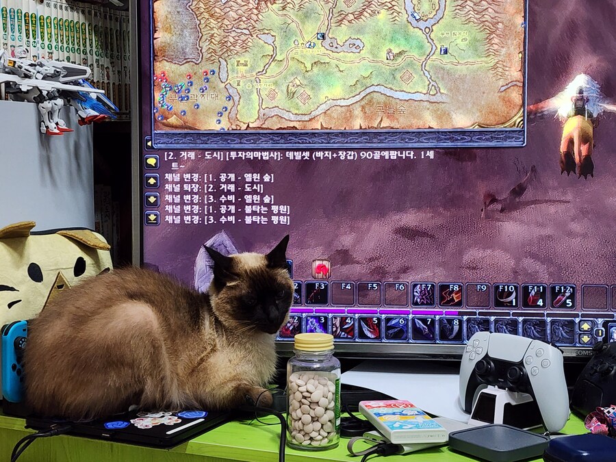 우리집 주인님 고양이별로 돌아 갔다._16.jpg