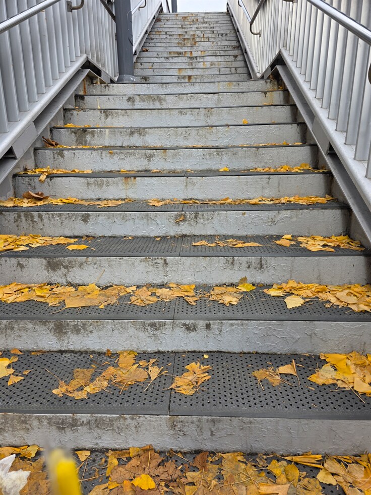 병원 다녀오는 길에 맛있어 보여서_1.png