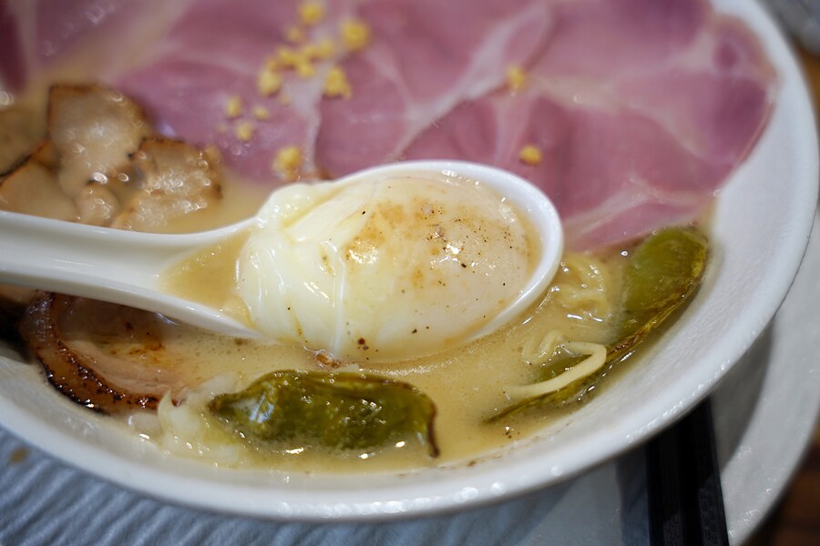 마치 꽃이 핀 토리파이탄_6.jpg