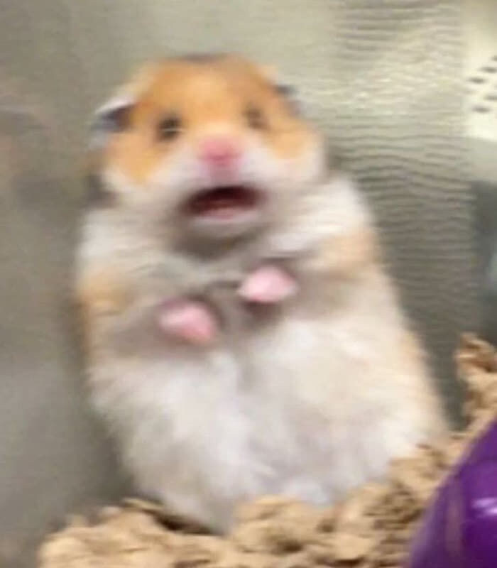 충격)이화여대 페미니즘 근황의 실체..._4.jpg