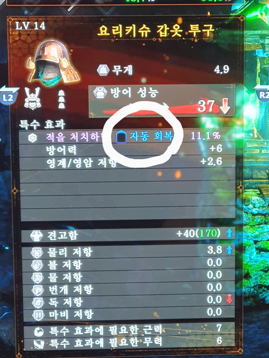 인왕2 장비에서 특수효과 아이콘 문의드립니다._1.jpg