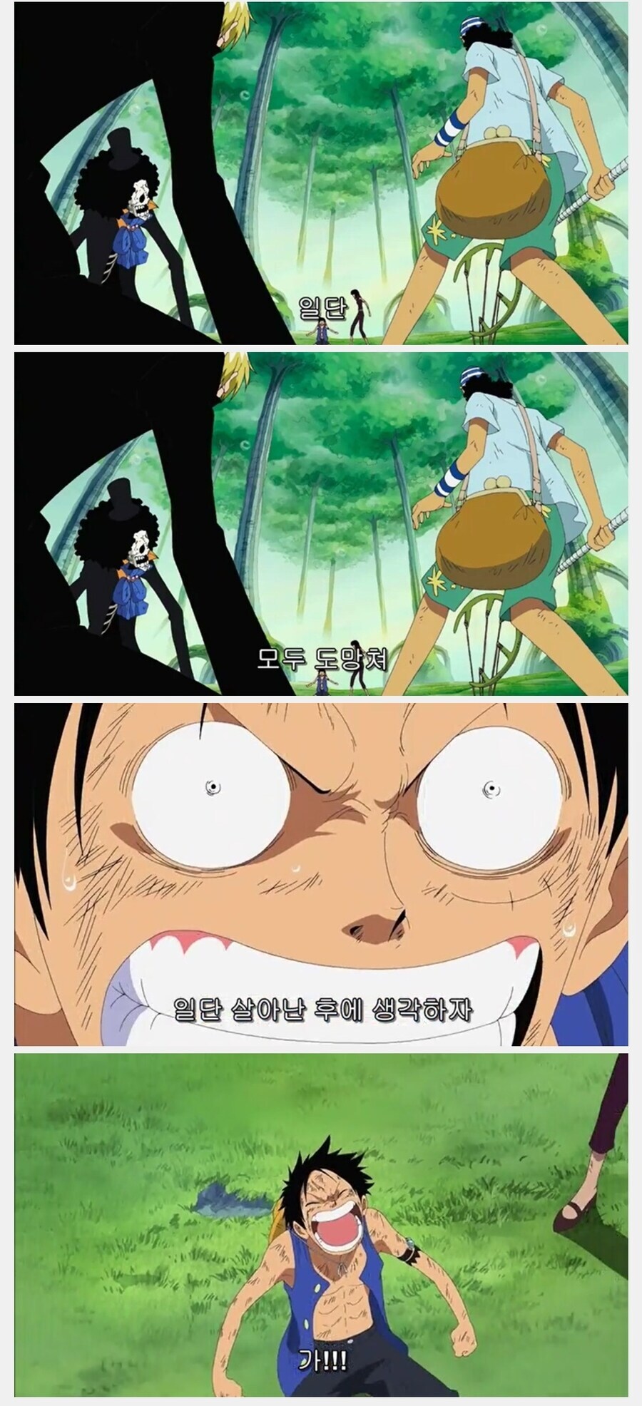 원피스 루피가 듣는 동료들 속 터지는 간접 화법을 구사하지 않는 경우