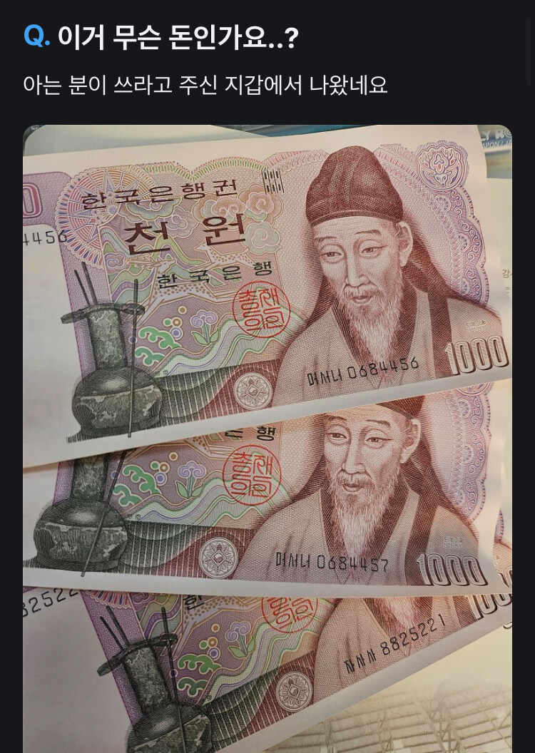 대한민국 근황_1.jpg